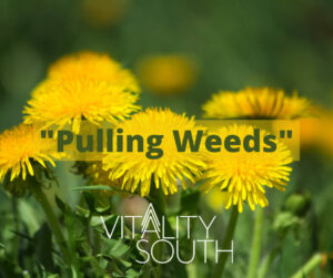 Business Blog Tupelo, MS