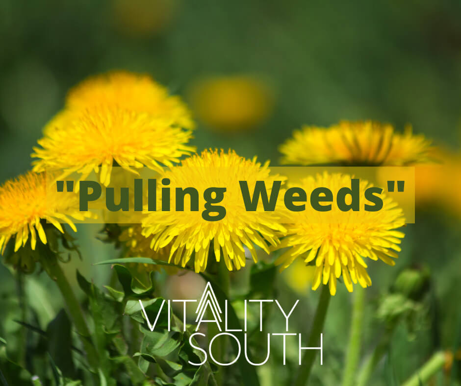 Business Blog Tupelo, MS