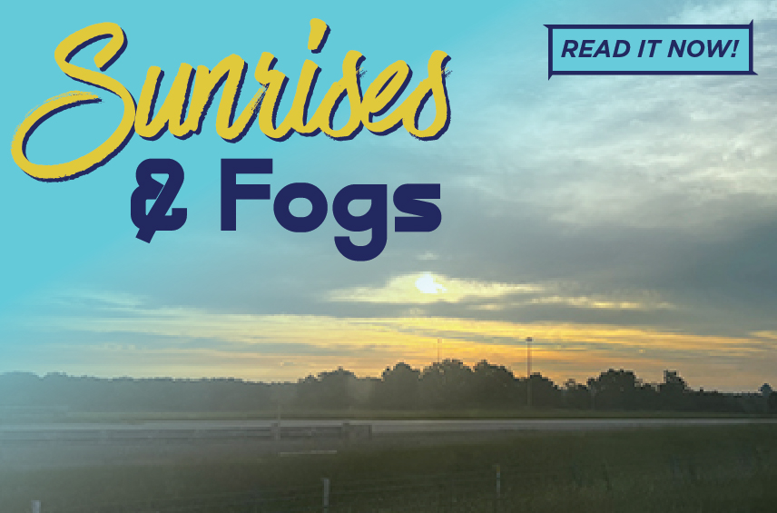 Blog post graphic featuring a scenic sunrise over a misty landscape with trees and a road in the distance Overlaid text reads Sunrises Fogs with a READ IT NOW button in the top right corner