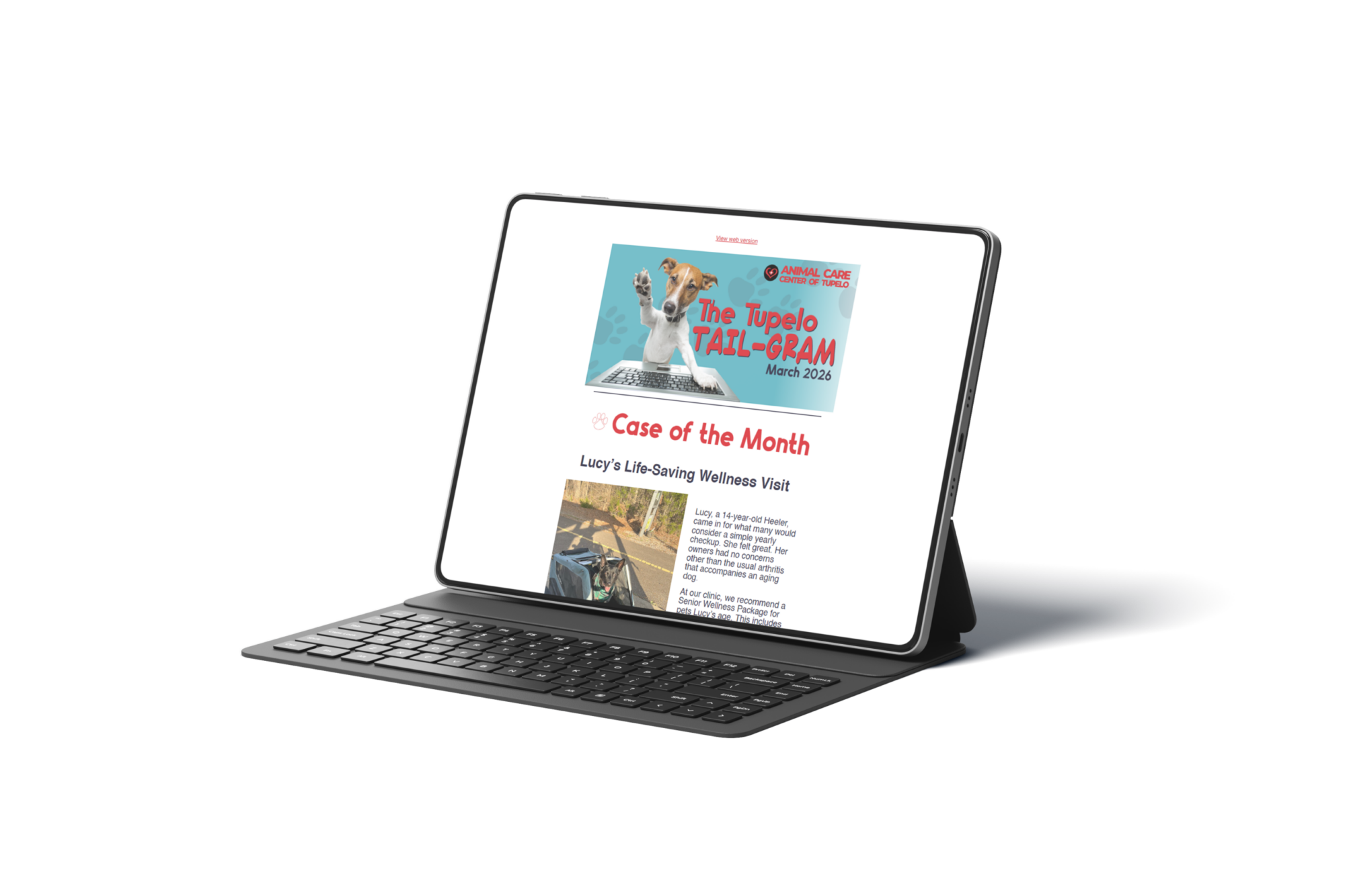 Animal Care Center Newsletter Tablet Mockup