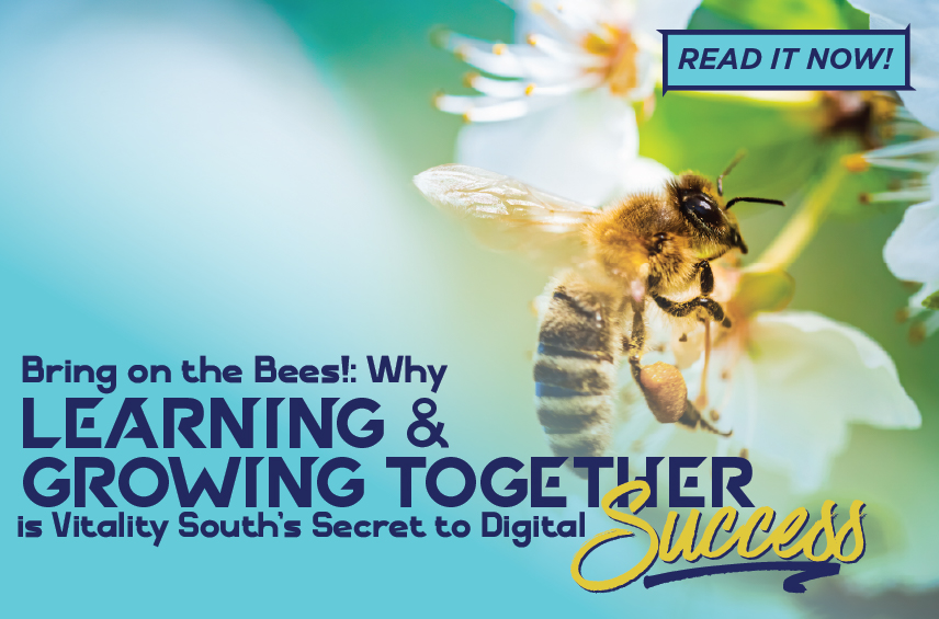Blog post graphic featuring a close up of a honeybee pollinating a white flower against a soft teal and green background Overlaid text reads Bring on the Bees Why LEARNING GROWING TOGETHER is Vitality South’s Secret to Digital Success with a READ IT NOW button in the top right corner